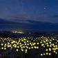 Solar-Powered Decorative Garden Lamps | Charming